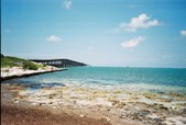 Enlarge photo 110