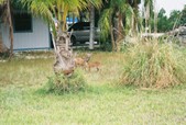Enlarge photo 120