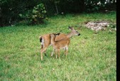 Enlarge photo 121