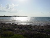 Enlarge photo 55