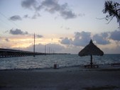 Enlarge photo 56