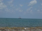 Enlarge photo 65