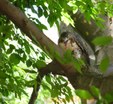 pale male photo 2