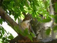 pale male photo 4