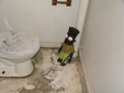 Looks comfortable