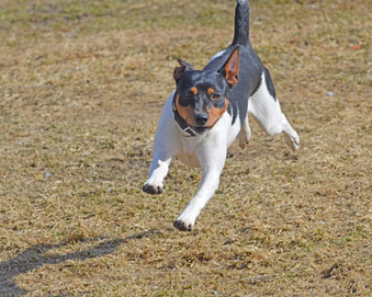 Enlarge photo 111