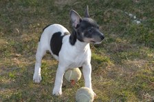 Enlarge photo 49