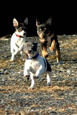 Enlarge photo 58