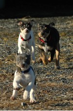 Enlarge photo 59