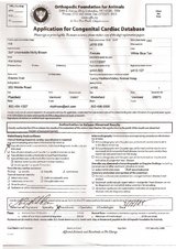 Enlarge PDF 14