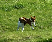 Enlarge photo 158