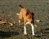 Enlarge photo 170