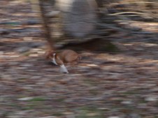 Enlarge photo 114