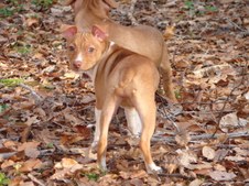Enlarge photo 115