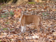 Enlarge photo 116
