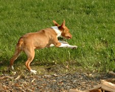 Enlarge photo 157