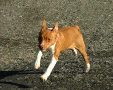 Enlarge photo 98