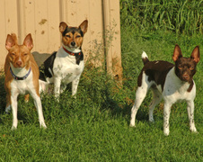 Enlarge photo 44