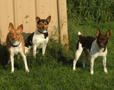 Enlarge photo 43