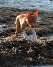 Enlarge photo 107