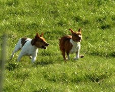Enlarge photo 159