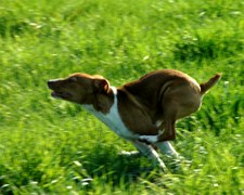 Enlarge photo 160