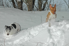 Enlarge photo 28