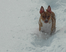 Enlarge photo 25