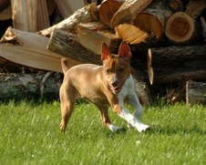 Enlarge photo 165