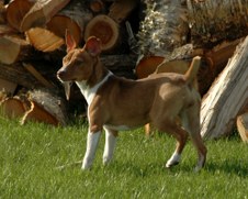Enlarge photo 167