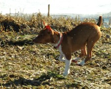 Enlarge photo 93
