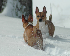 Enlarge photo 22