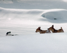 Enlarge photo 18