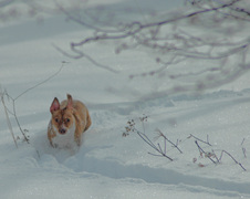 Enlarge photo 15