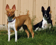Enlarge photo 35