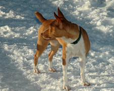 Enlarge photo 30