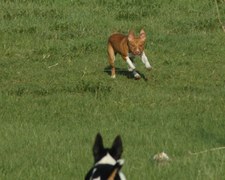 Enlarge photo 178