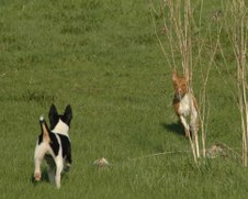 Enlarge photo 179