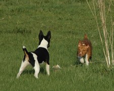Enlarge photo 180