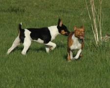 Enlarge photo 181