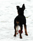 Enlarge photo 15