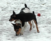 Enlarge photo 12