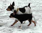 Enlarge photo 13