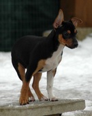 Enlarge photo 11