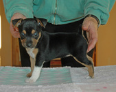 Enlarge photo 21