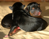 Enlarge photo 90
