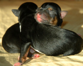 Enlarge photo 91