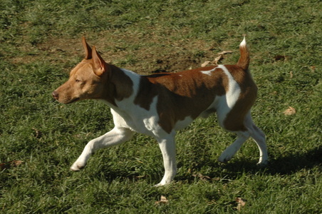 Enlarge photo 57