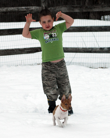 Enlarge photo 137