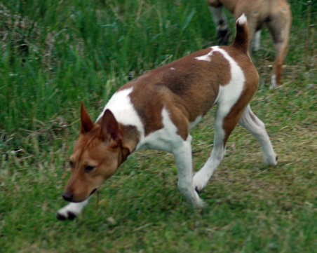 Enlarge photo 94